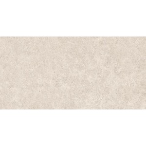 ΠΛΑΚΑΚΙ BOOST STONE WHITE MATTE 60X120